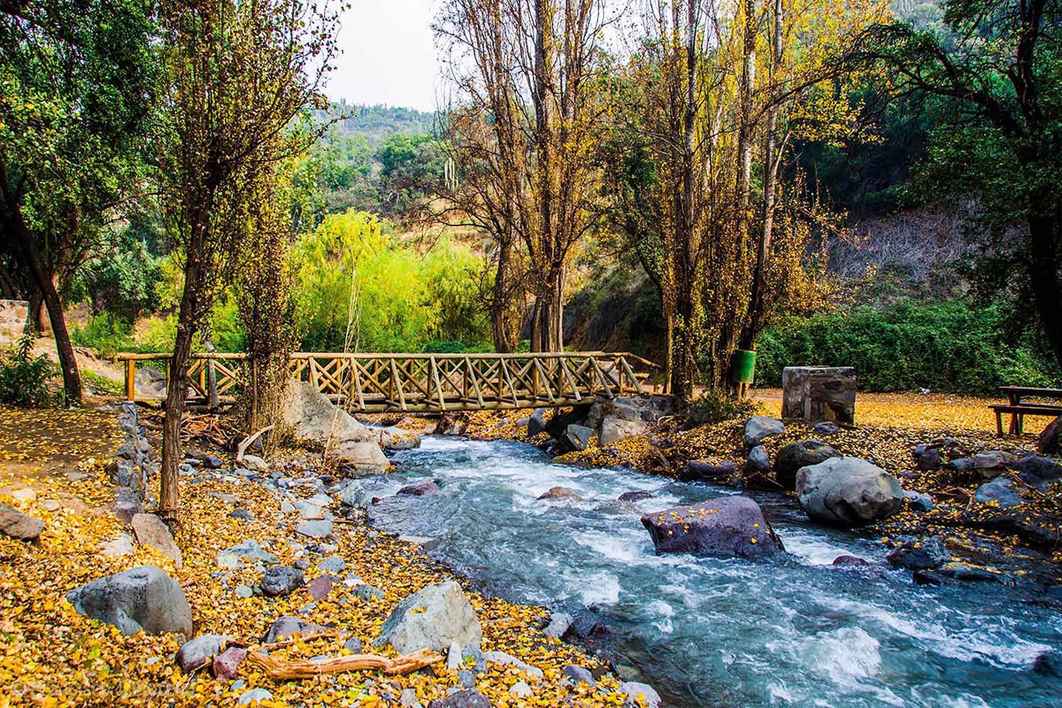 Paisaje